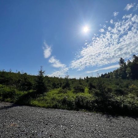 Dagmar 120Qm 3 Schlafzimmer Wellness Olsberg Zewnętrze zdjęcie